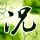 定制新版都柏林美国学院文凭学位【degxx.com】